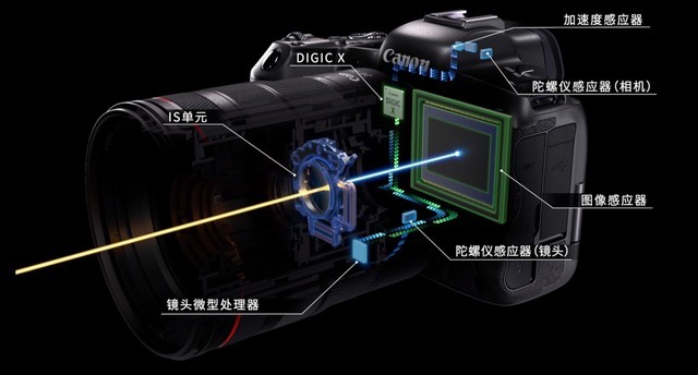 巅峰对决！EOS R5、A9 II谁是生态摄影利器 